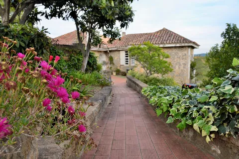 The brick path to the house, bordered by ivy and flowers