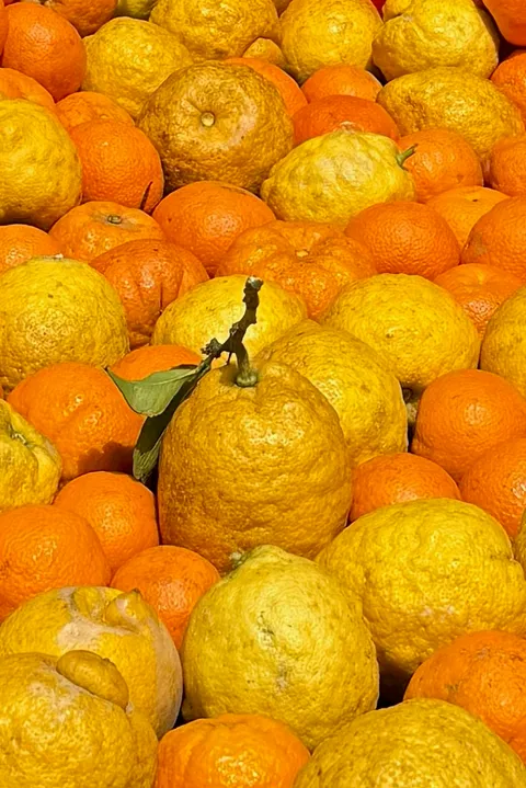Freshly picked oranges and lemons from the garden