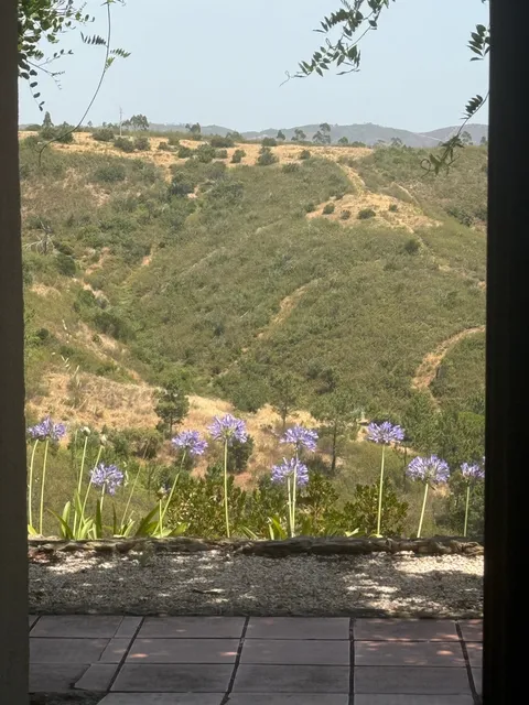 Flowers framed in a doorway, with hills rolling beyond the terrace