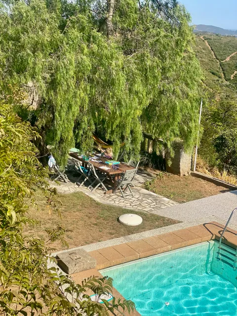 Outdoor dining table set up under a tree beside the pool